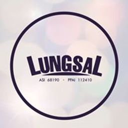 Lungsal International Inc.-logo