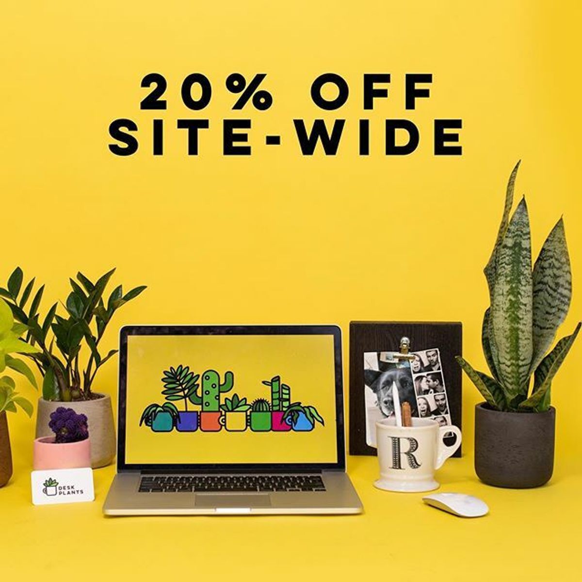 While y all are working from home for th desk plants