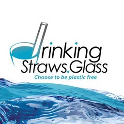 Drinking Straws Glass LLC-logo