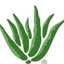Aloe Up Suncare Products-logo