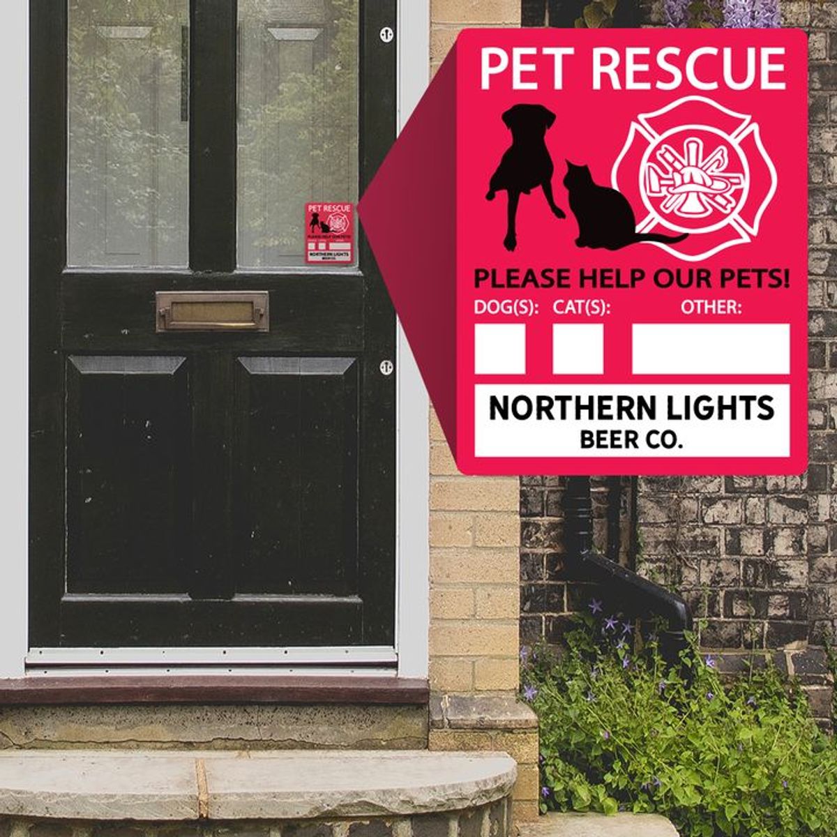 october-is-national-animal-safety-month-wov-in