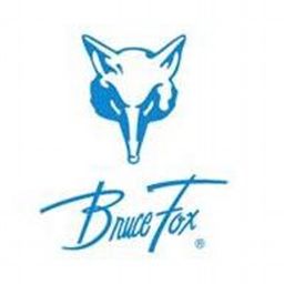 Bruce Fox Inc-logo