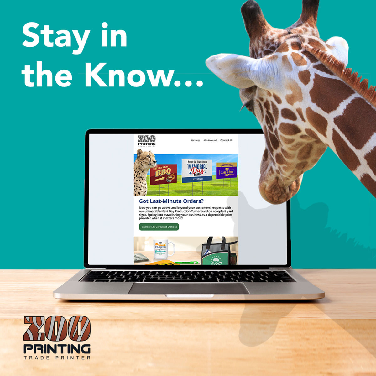 Check out the latest Zoo newsletter! Fre... Zoo Printing