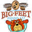 Big Feet Pajama Company-logo