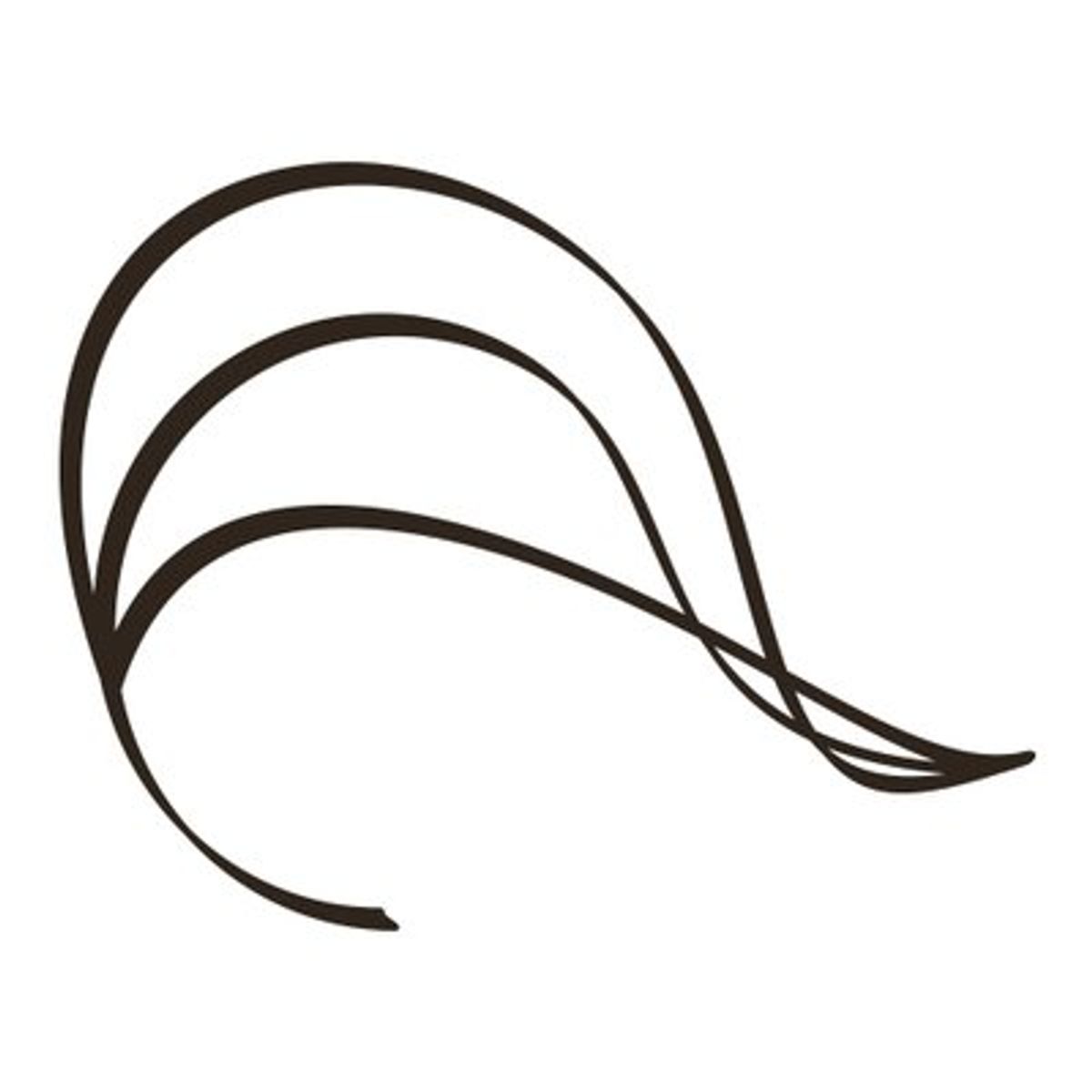 Light shimmering through the trees this ... - Bedford Collections