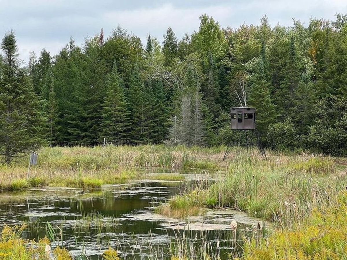 Our Hunting Blind is the perfect way of Grizzly Coolers