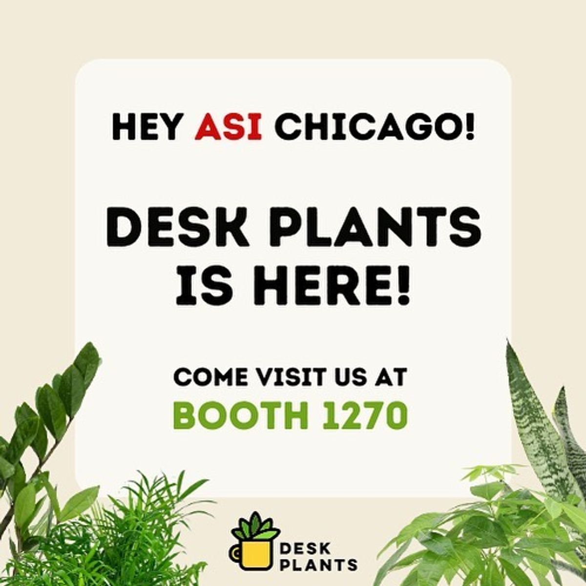 Hey theasishow Desk Plants is here, Boo... Desk Plants