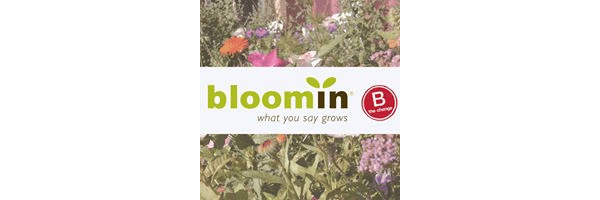 Bloomin' Promotions
